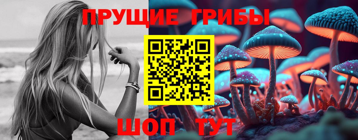 Псилоцибиновые грибы Psilocybine cubensis Анапа